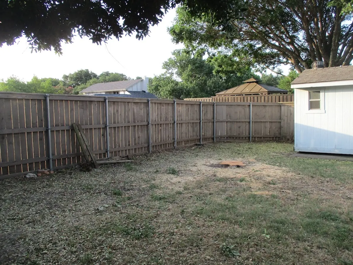 Cleared yard after professional tree removal in Kaunakakai