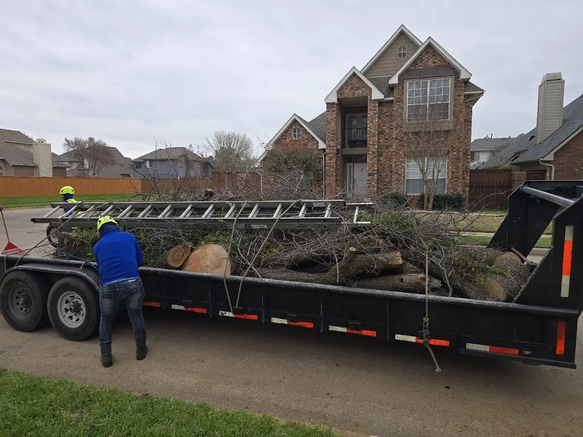 Expert Tree Removal with proper safety equipment in Kaunakakai